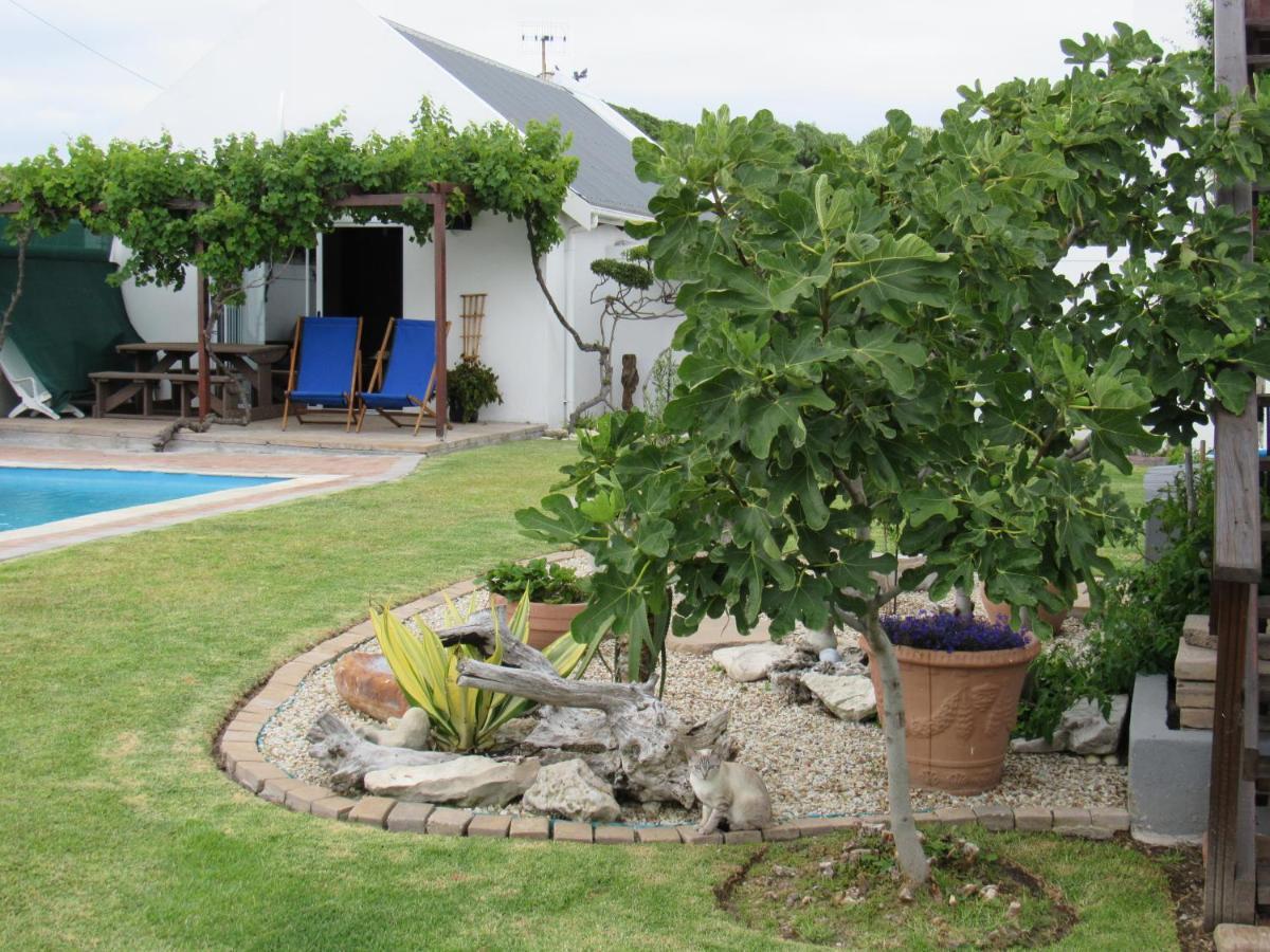Omega Suite Gansbaai Dış mekan fotoğraf